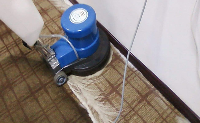 地毯清洗、杀虫消毒